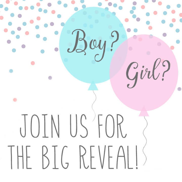 Baby Gender Reveal Party Invitations Happiness Is Homemade