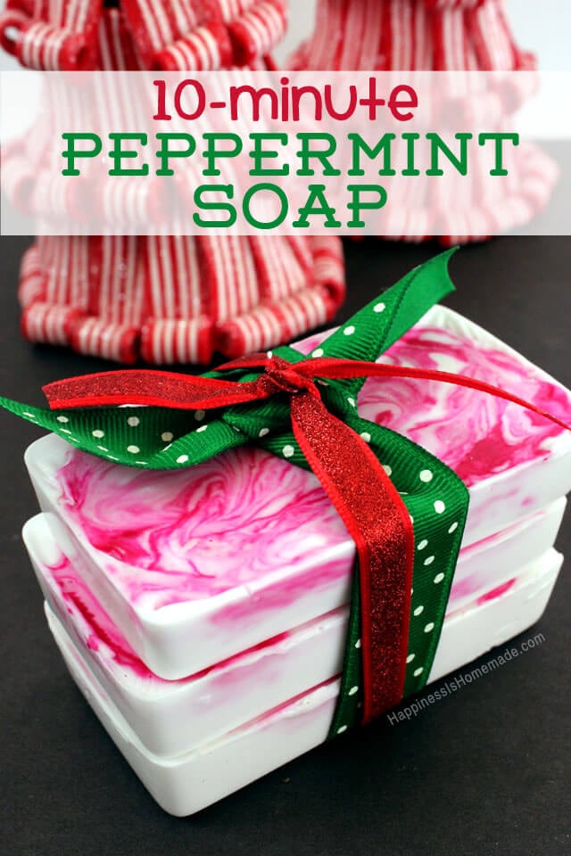 10 Minute DIY Holiday  Gift  Idea  Peppermint Soap 