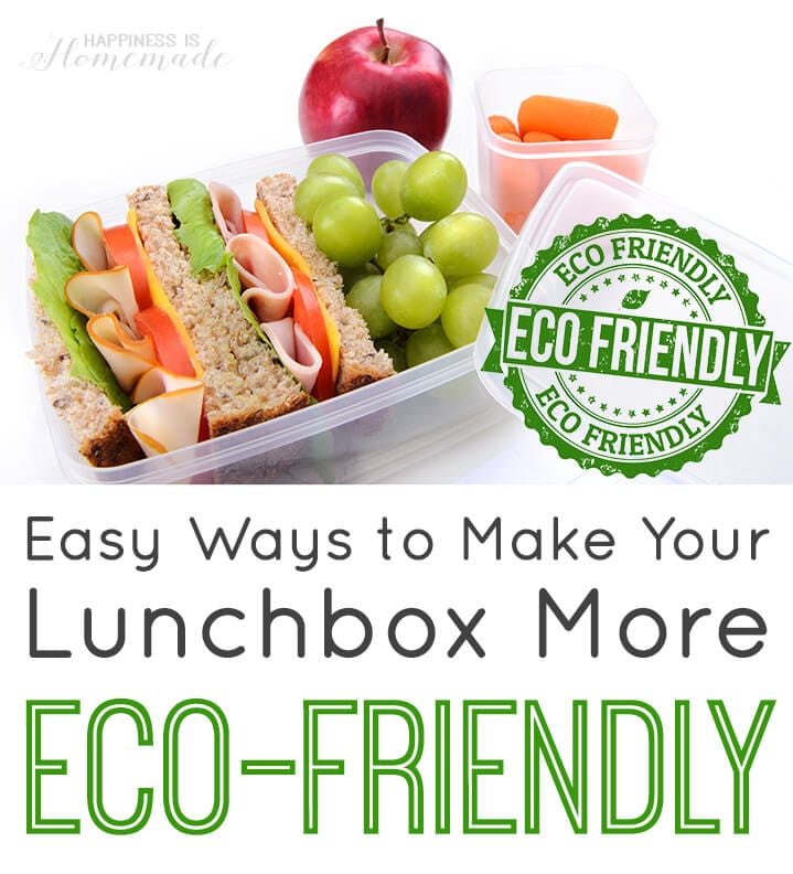 My Eco Lunch Box – Eco Yummi