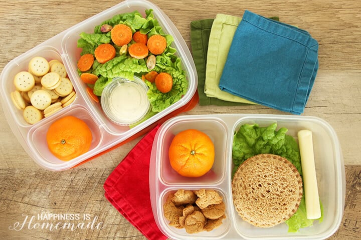 https://www.happinessishomemade.net/wp-content/uploads/2015/03/Reusable-Lunch-Containers-for-a-Greener-Lunchbox.jpg