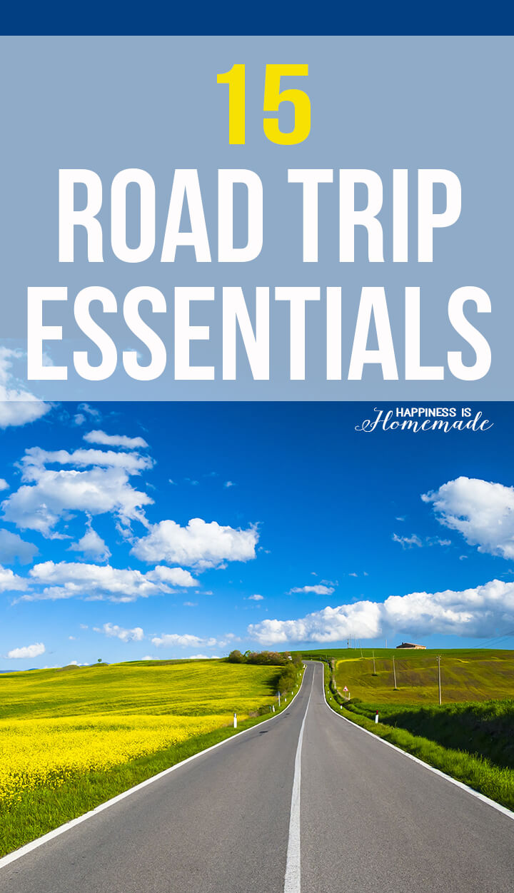 15 Road Trip Essentials Every Family Needs - Living Well Mom
