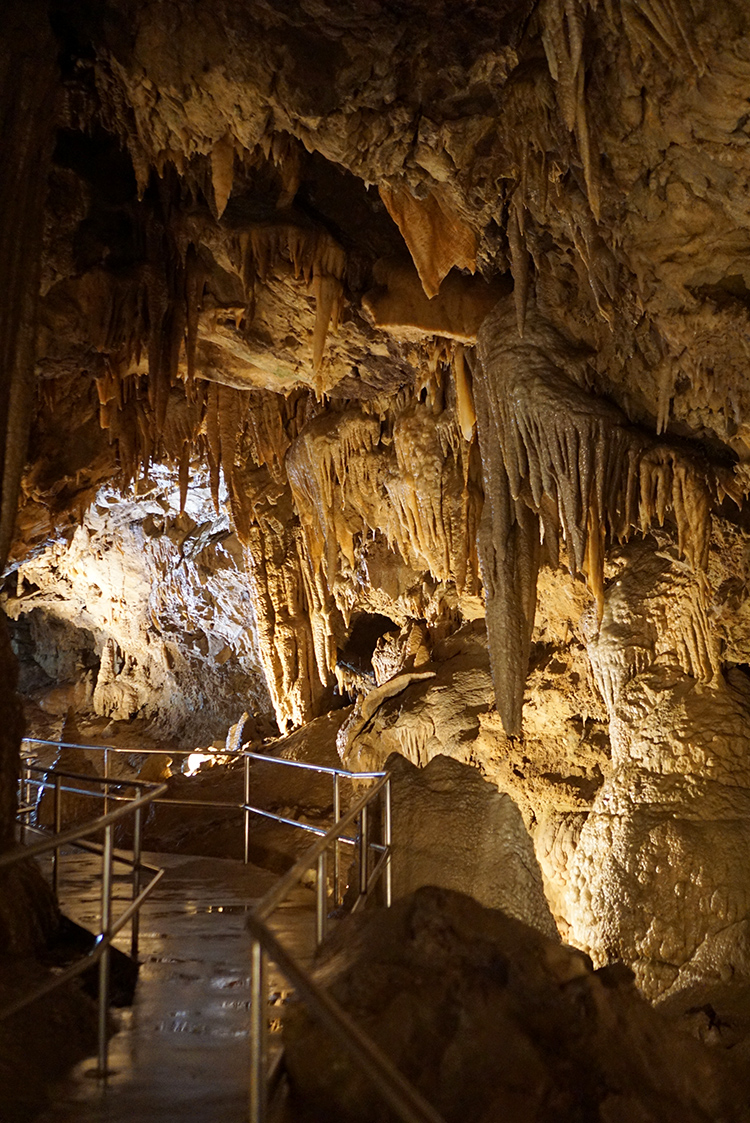 Lake Shasta Caverns Tour – Redding, CA