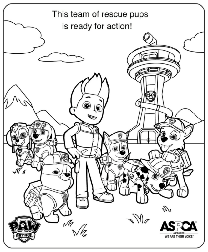 FREE PAW  Patrol  Coloring  Pages  Happiness is Homemade