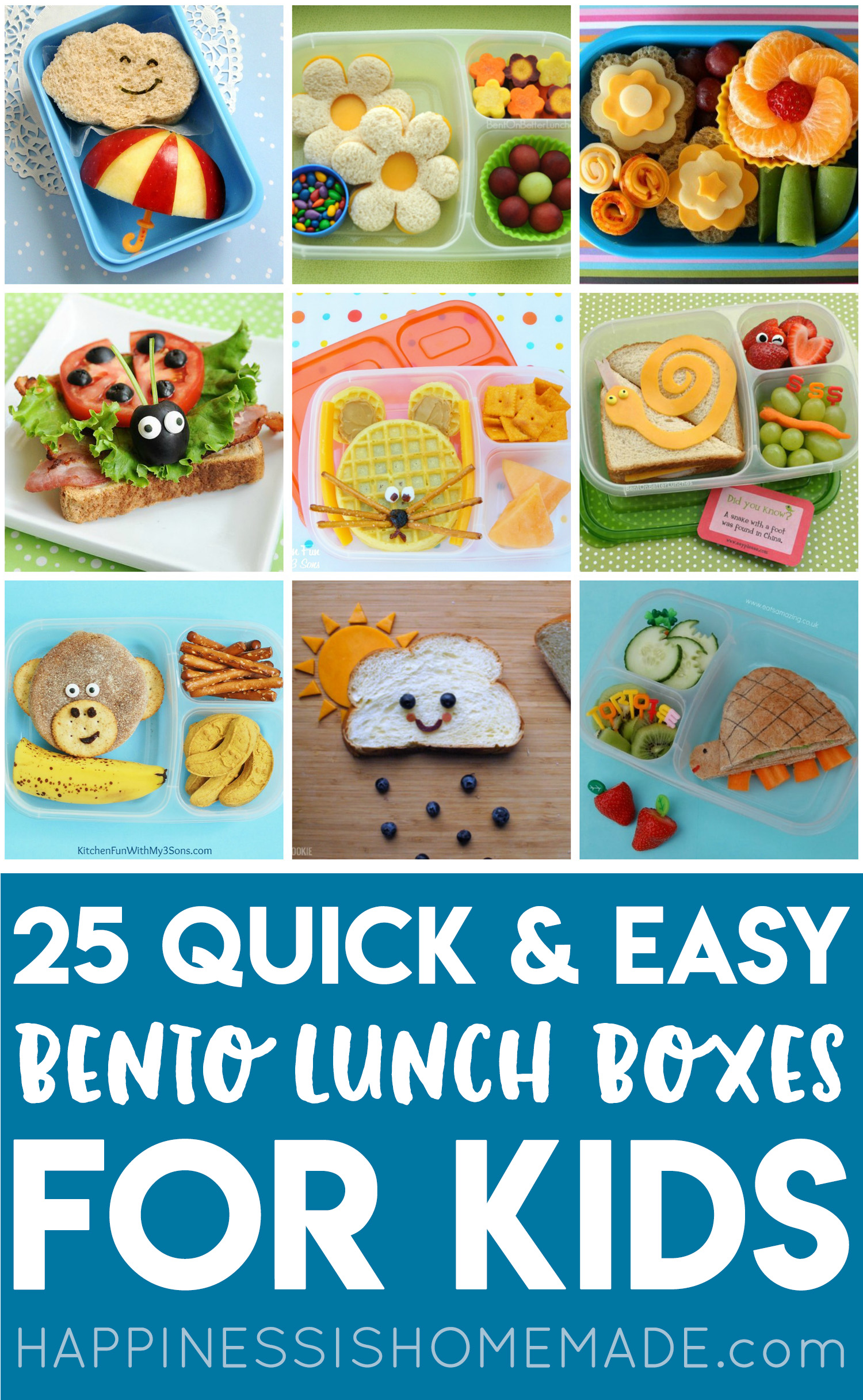 Easy Bento Boxes – Citrus & Delicious
