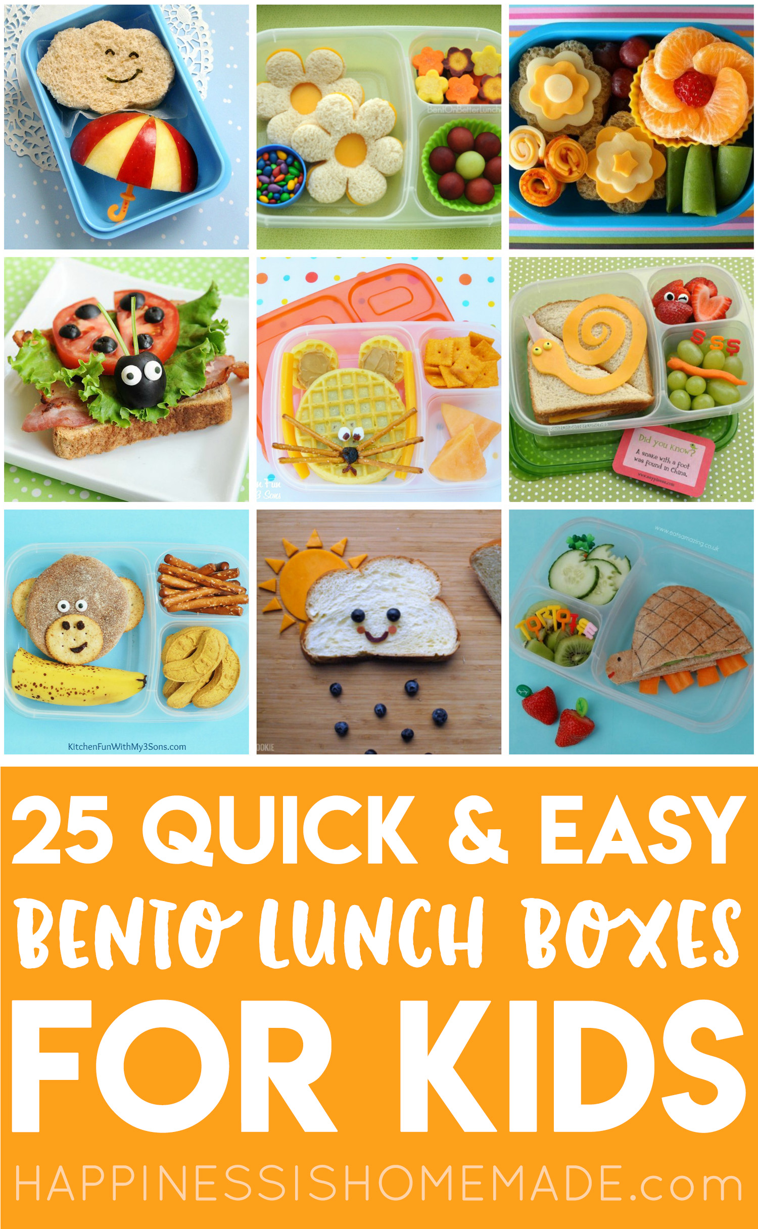 22+ Lunch Ideas For Kids Gif