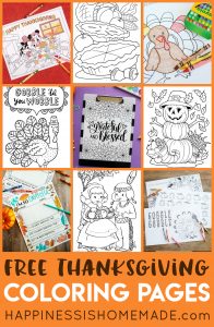 Thanksgiving Mad Libs Printable Game - Happiness is Homemade