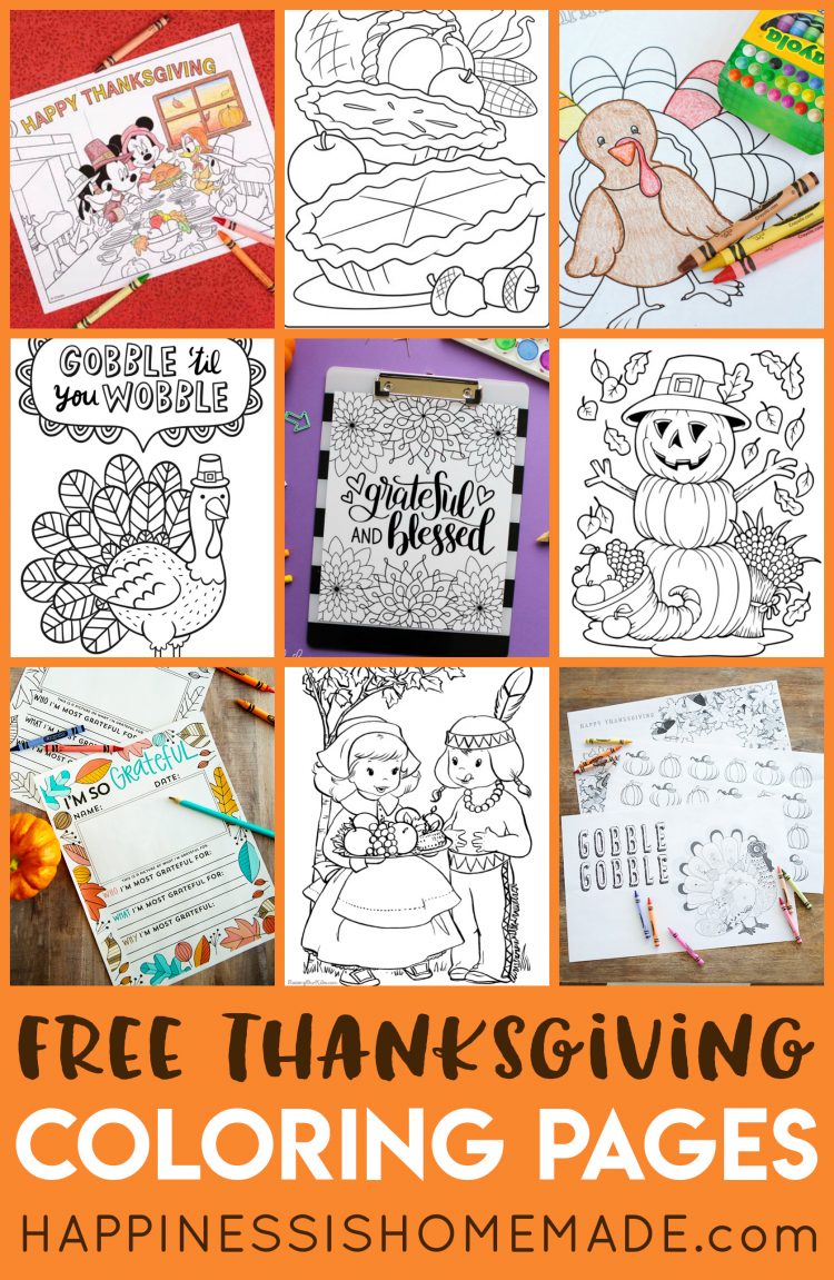 Thanksgiving Mad Libs Printable Game - Happiness is Homemade