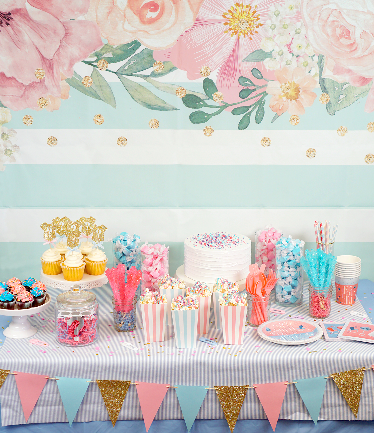 Gender Reveal Party Ideas pic