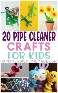 20+ Awesome Pipe Cleaner Crafts for Kids - Happiness is Homemade