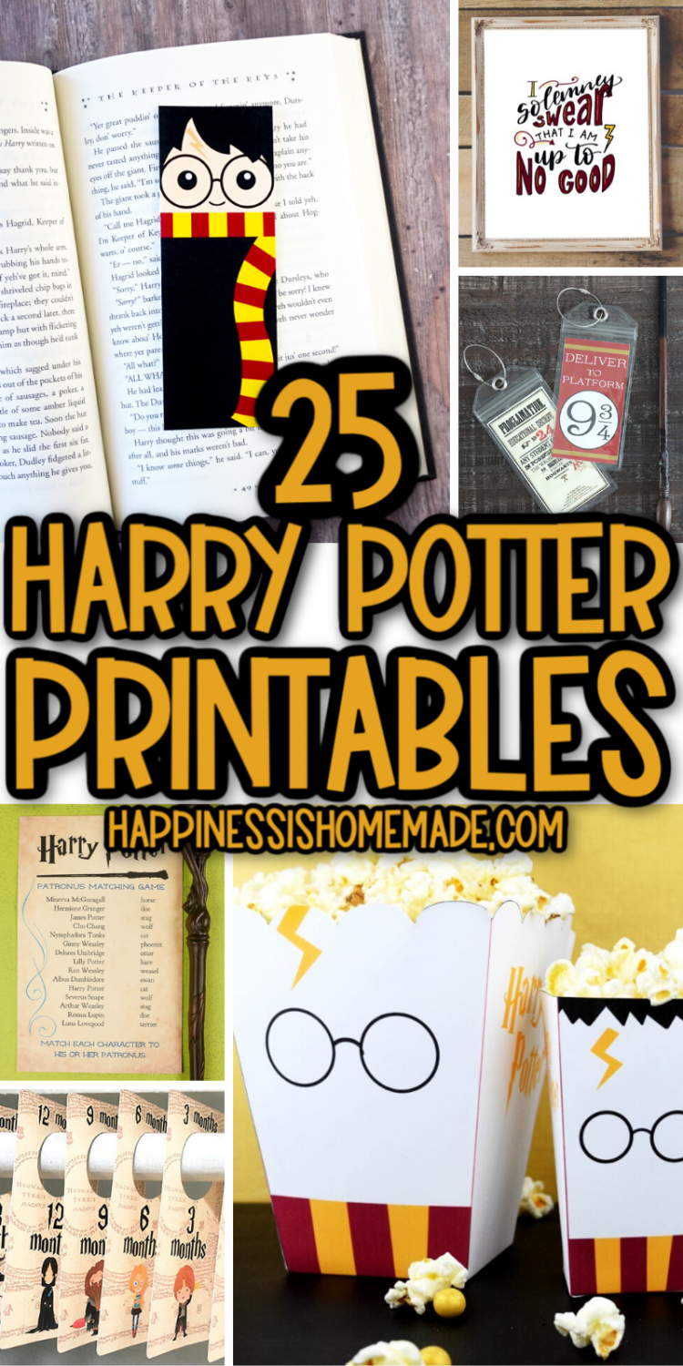 25+ Magical Harry Potter Party Favor Ideas