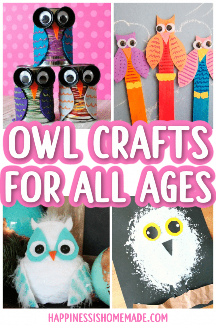 Cotton Ball Snowy Owl Craft - Our Kid Things