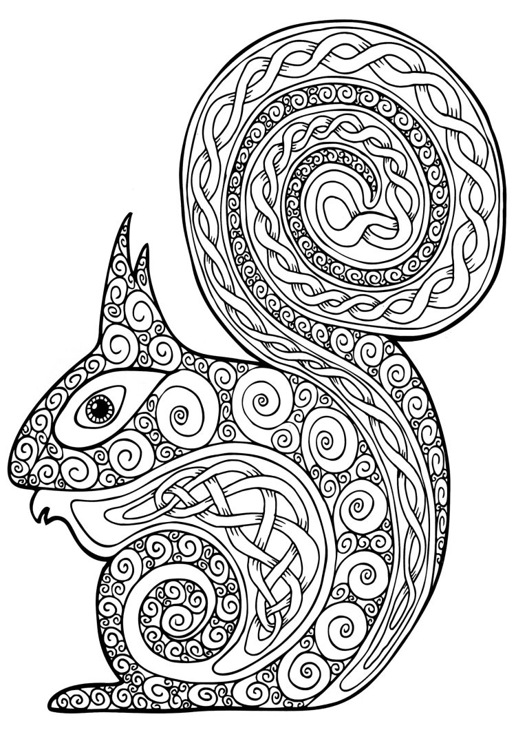 Coolest Animal Coloring Pages for Adults to Print & Color