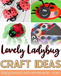 20+ Easy Ladybug Crafts - Happiness is Homemade