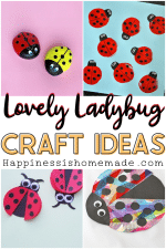 20+ Easy Ladybug Crafts - Happiness is Homemade