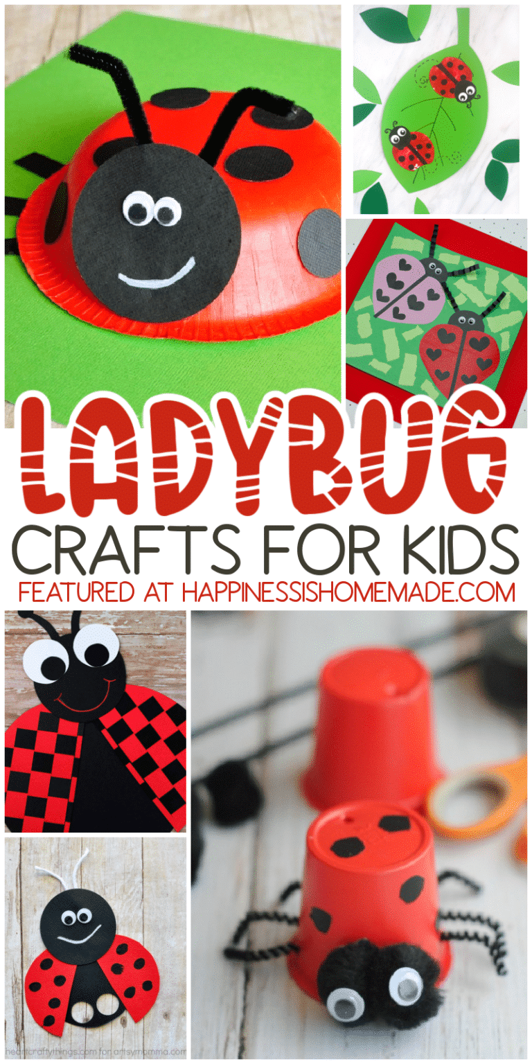 20+ Easy Ladybug Crafts - Happiness is Homemade