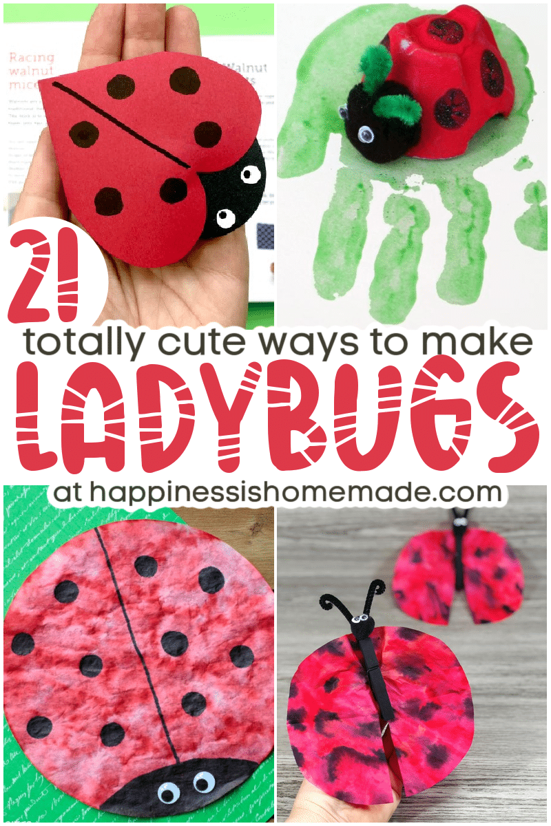 25+ Rainbow Crafts for Kids & Adults - Happiness is Homemade