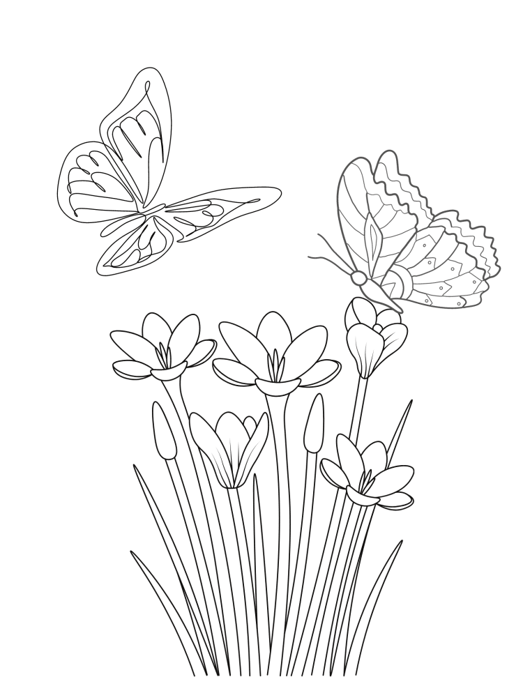 20 Free Printable Butterfly Coloring Pages - Happiness is Homemade